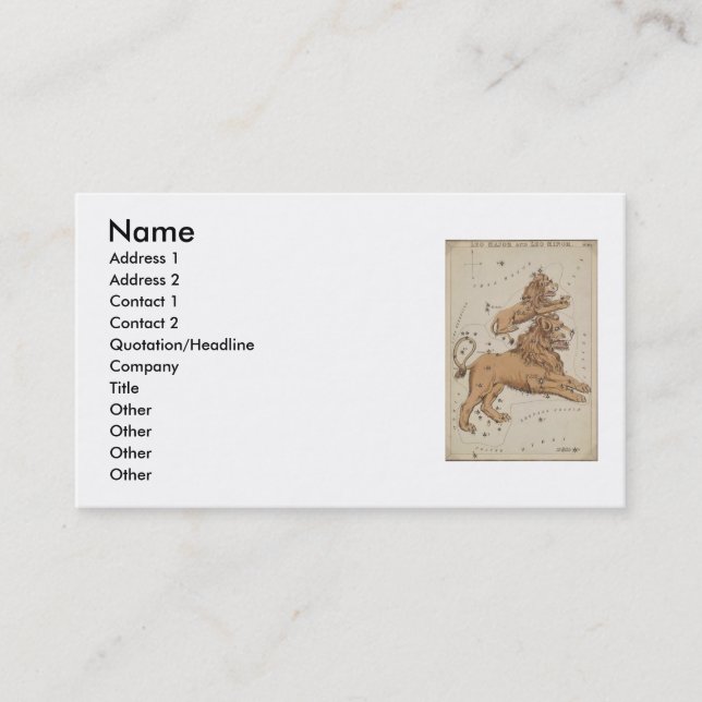 Tarjeta De Visita Leo Business Card (Anverso)