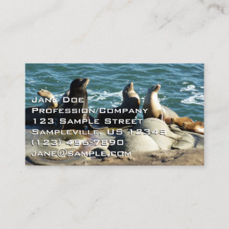 Tarjeta De Visita Leones del mar de San Diego