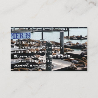 Tarjeta De Visita Leones marinos Pier 39