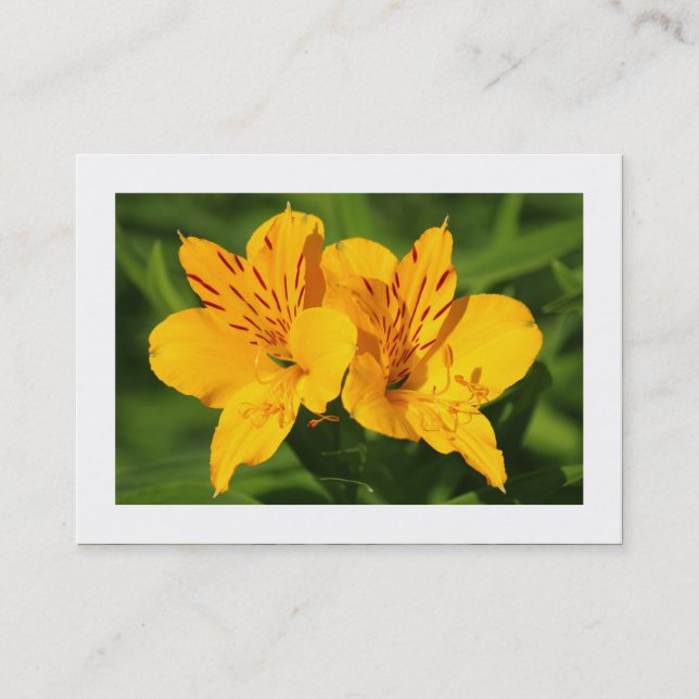 Tarjeta De Visita Lilies peruanos (bordeados) (Anverso)