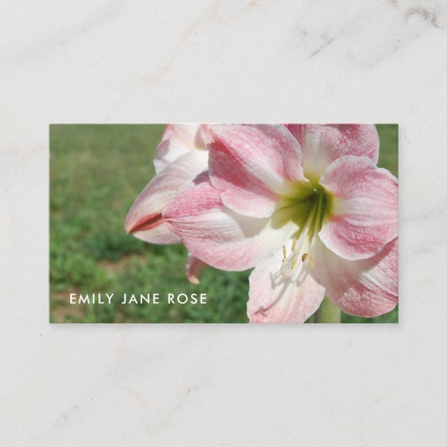 Tarjeta De Visita Lily 'Stargazer', lirios orientales, Floristry (Anverso)