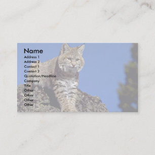 Tarjeta De Visita Lince skylined