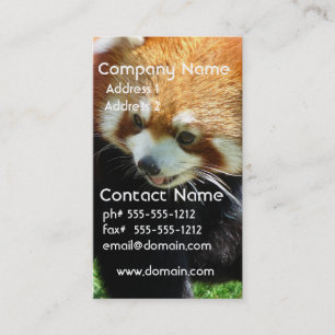 Tarjeta de visita linda del oso de panda roja
