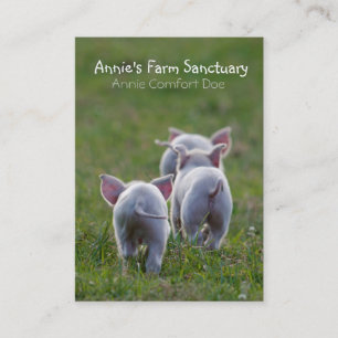 Tarjeta de visita linda del santuario de la granja