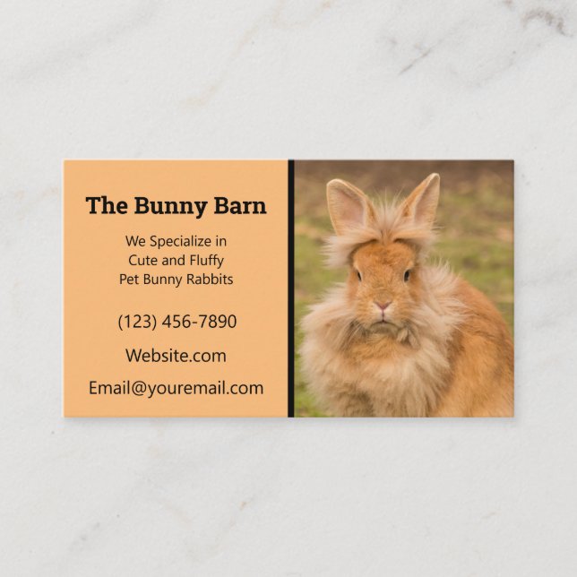 Tarjeta De Visita Lionhead Rabbit Breeder Business Card (Anverso)