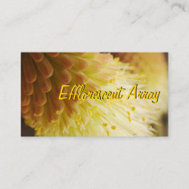 Tarjeta De Visita Lirio de antorcha radiante