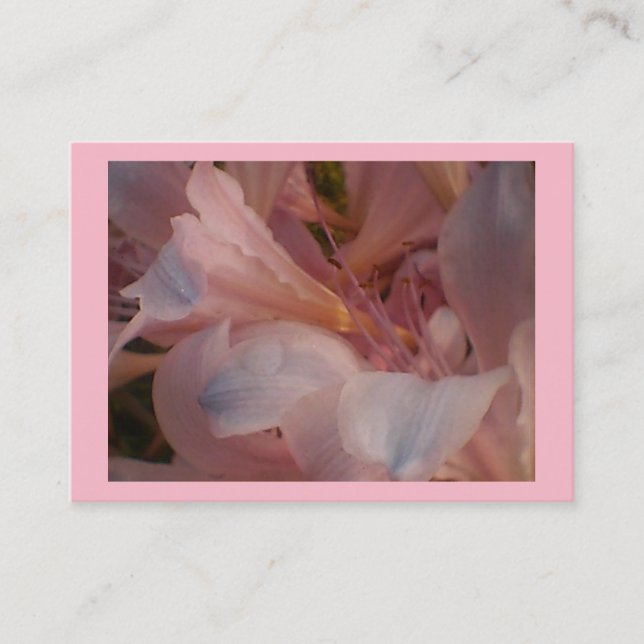 Tarjeta De Visita Lirio rosa (Anverso)