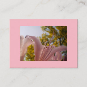 Tarjeta De Visita Lirio rosa de seda premium