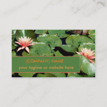 Lirios de agua del melocotón, flores de Lotus,