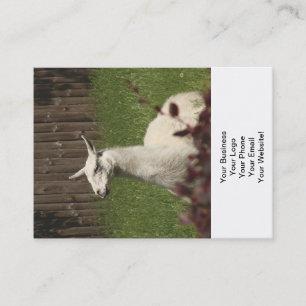 Tarjeta De Visita Llama blanca