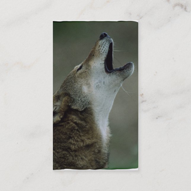 Tarjeta De Visita Lobo de madera salvaje que grita (Reverso)