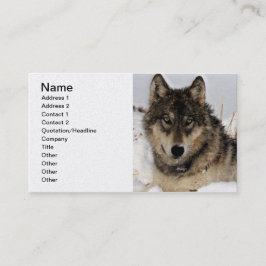 Tarjeta De Visita Lobo gris o lobo de madera que pone en la nieve
