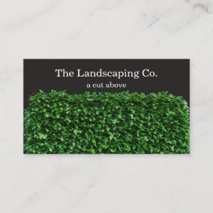 Tarjeta De Visita Local Landscaping Services de doble cara