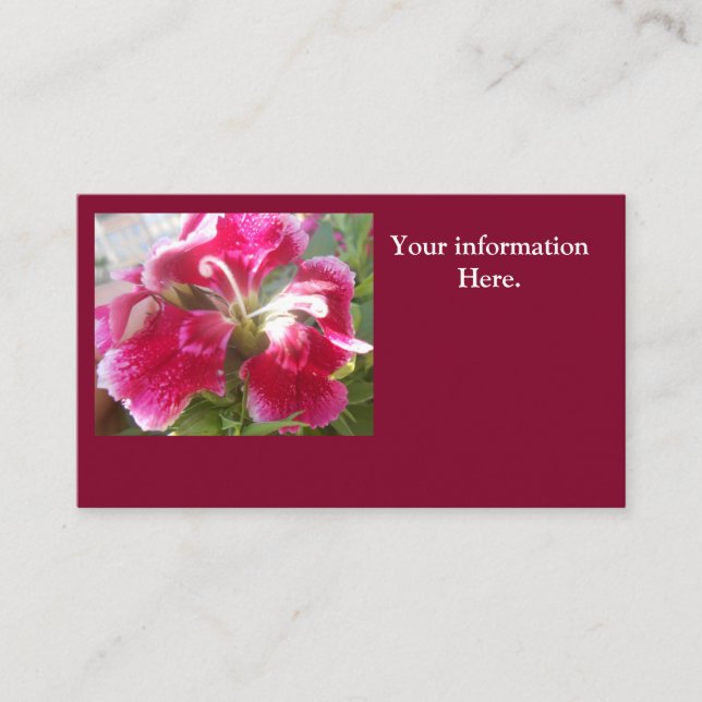 Tarjeta De Visita Lodovica (Anverso)