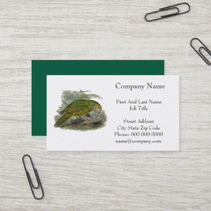 Tarjeta De Visita Loro de búho verde Kakapo, Ilustracion de pájaro r