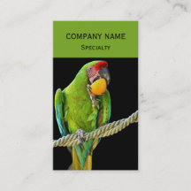 Loro Verde Ara Militaris