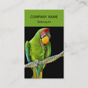 Tarjeta De Visita Loro Verde Ara Militaris