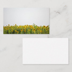 Tarjeta De Visita Los girasoles en un campo