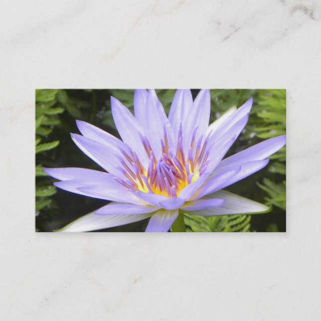 Tarjeta De Visita Lotus púrpura (Anverso)