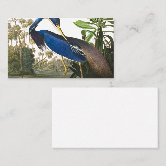 Tarjeta De Visita Louisiana Heron por John James Audubon (Anverso / Reverso)