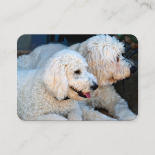 Tarjeta De Visita Love Goldendoodles