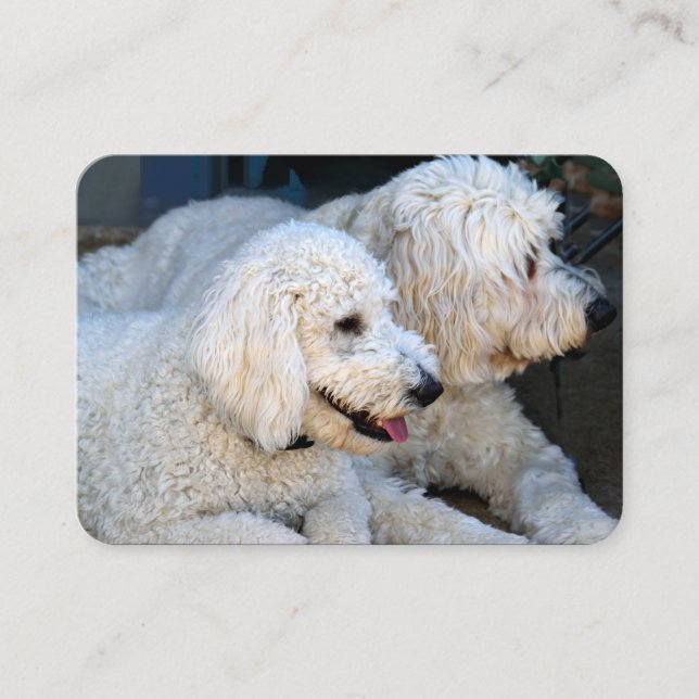 Tarjeta De Visita Love Goldendoodles (Anverso)
