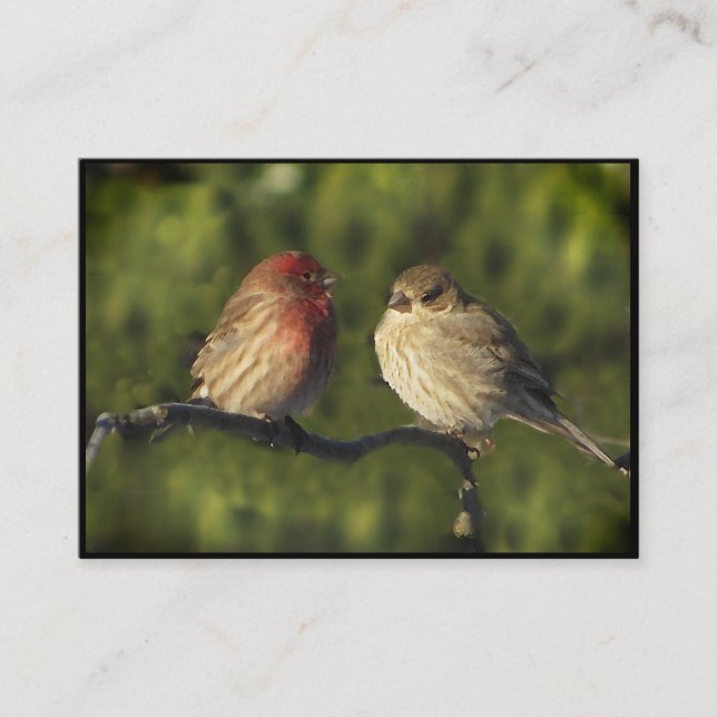 Tarjeta De Visita Lovebirds ATC (Anverso)