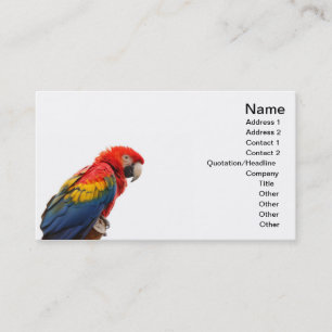 Tarjeta De Visita macaw