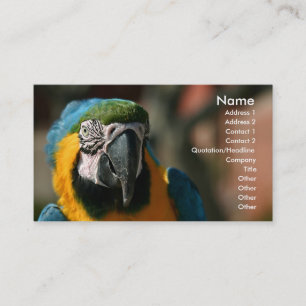 Tarjeta De Visita Macaw