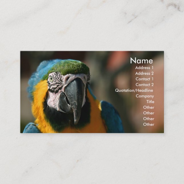 Tarjeta De Visita Macaw (Anverso)