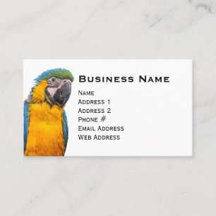 Tarjeta De Visita Macaw del azul y del oro