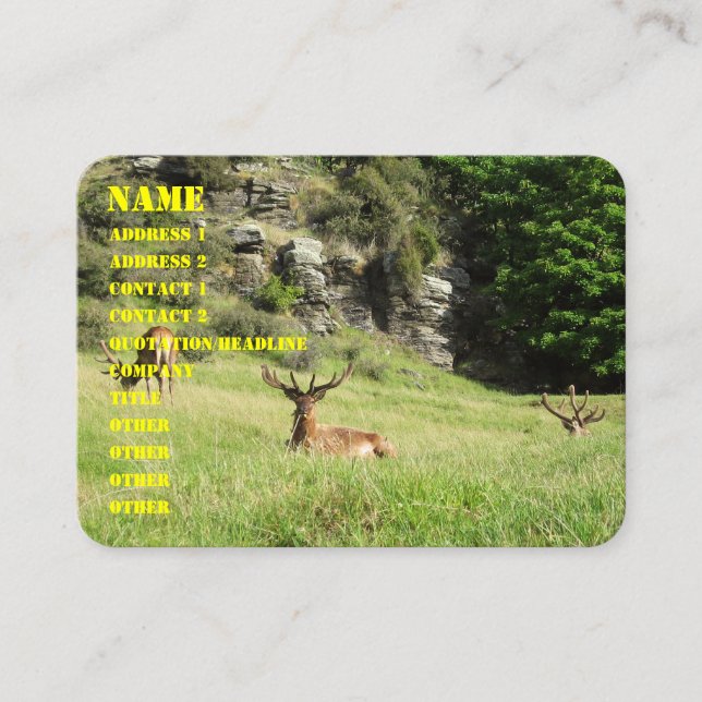Tarjeta De Visita Machos de Nueva Zelanda (Anverso)