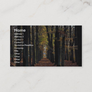 Tarjeta De Visita Madera de haya del otoño, Países Bajos rurales en