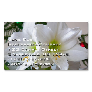 Tarjeta De Visita Magnética Amaryllis blanco y árbol de Navidad