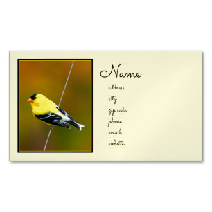 Tarjeta De Visita Magnética American Goldfinch - Fotografía original