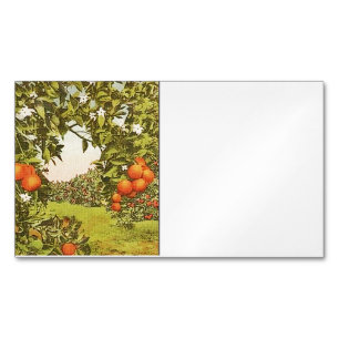 Tarjeta De Visita Magnética Arboleda de Naranja Antigua