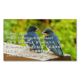 Tarjeta De Visita Magnética Bebé Traga fotografías de aves naturales