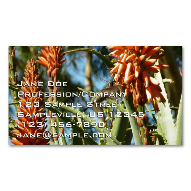 Tarjeta De Visita Magnética Black-Chinned Hummingbird in Flight (Anverso)