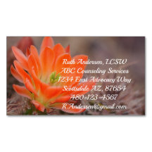 Bloom en flor de cactus naranjas