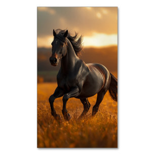 Tarjeta De Visita Magnética Caballo Semental Negro Majestuoso Paisaje Atardece