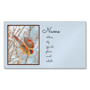 Tarjeta De Visita Magnética Cardenal norte volando - Fotografía original