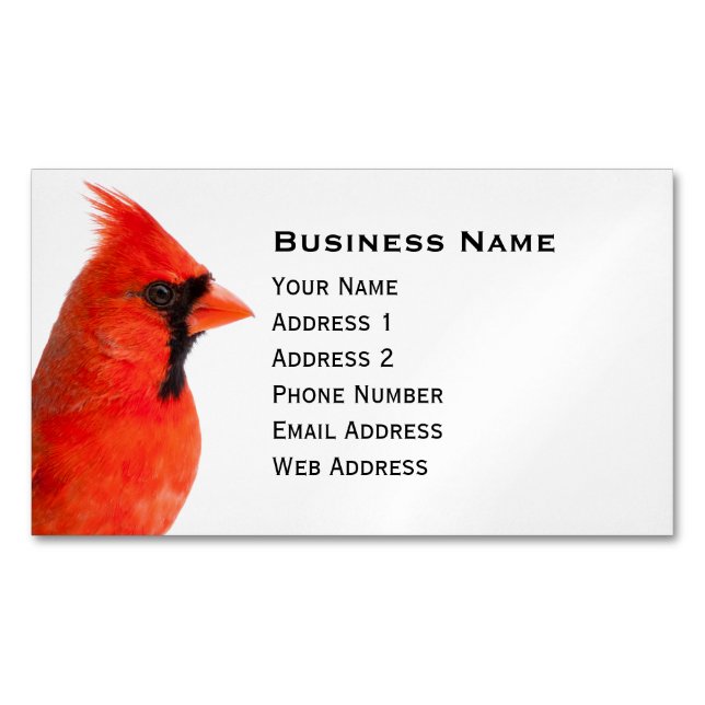 Tarjeta De Visita Magnética Cardinal Bird (Anverso)