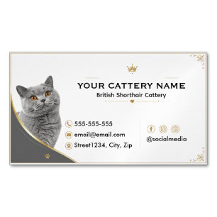 Tarjeta De Visita Magnética Cattery de British Shorthair elegante moderno