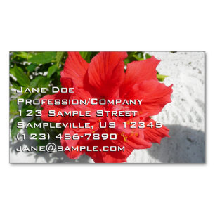 Tarjeta De Visita Magnética Flor doble roja hibiscus