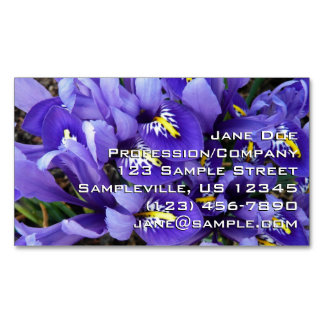 Tarjeta De Visita Magnética Floral de primavera de irlandeses azules en miniat