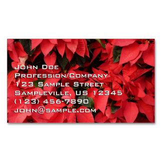 Tarjeta De Visita Magnética Floral navideña de Navidades de la Poinsettias Roj