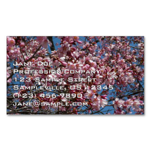 Tarjeta De Visita Magnética Flores de cerezo y flor de Blue Sky Spring
