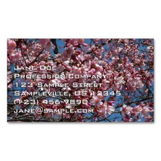 Tarjeta De Visita Magnética Flores de cerezo y flor de Blue Sky Spring