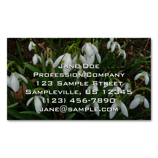 Tarjeta De Visita Magnética Flores de Primavera Blanca (Galanthus) (Anverso)