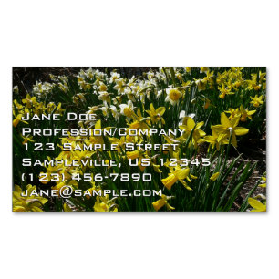 Tarjeta De Visita Magnética Flores de primavera de los Daffodils amarillos y b